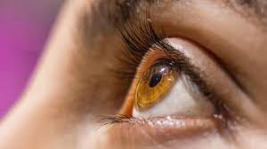 Optimalisasi Kebiasaan Harian Untuk Menjaga Kesehatan Mata Stabil